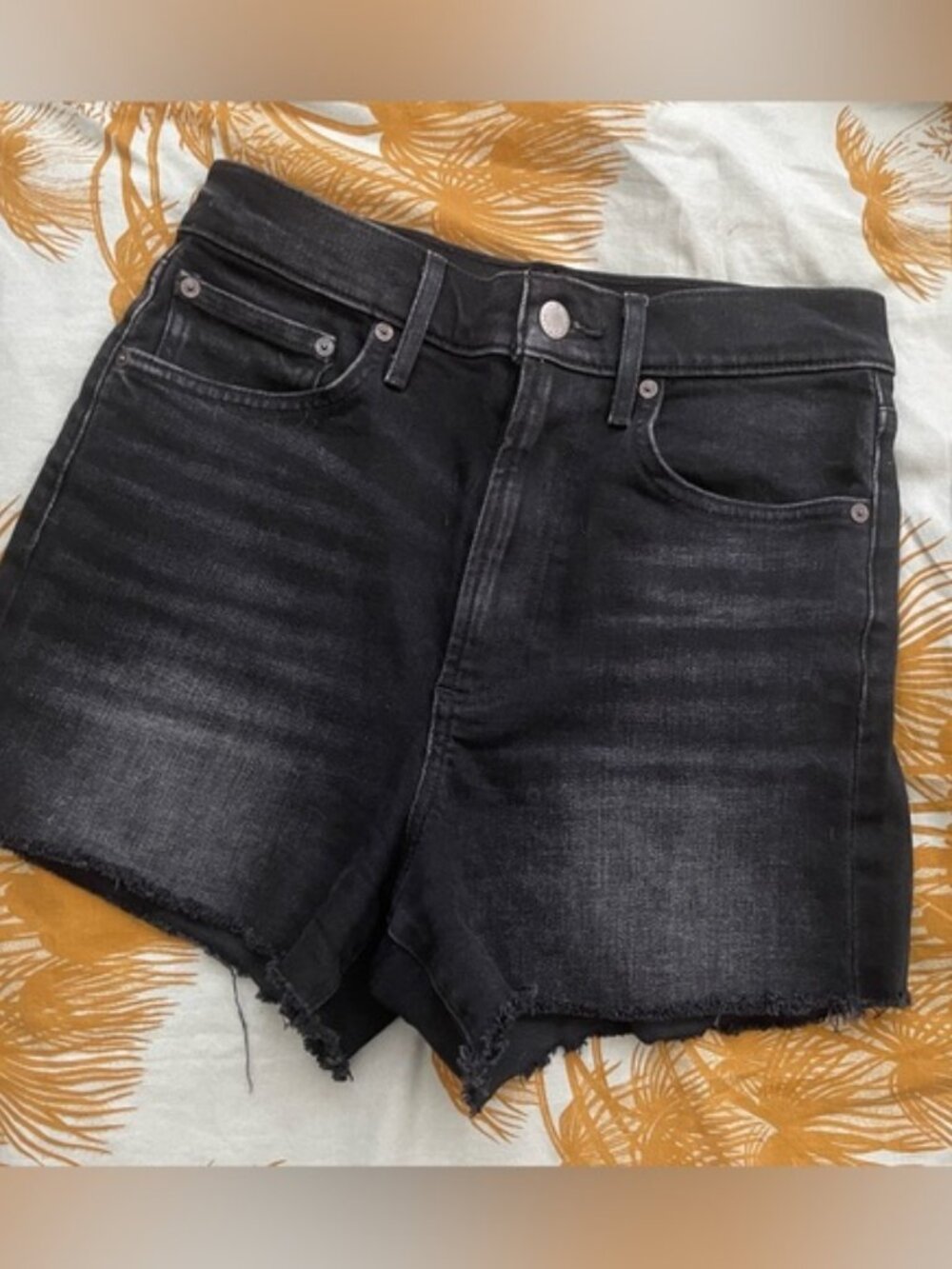 bnwot Denim Forum Arlo short 26